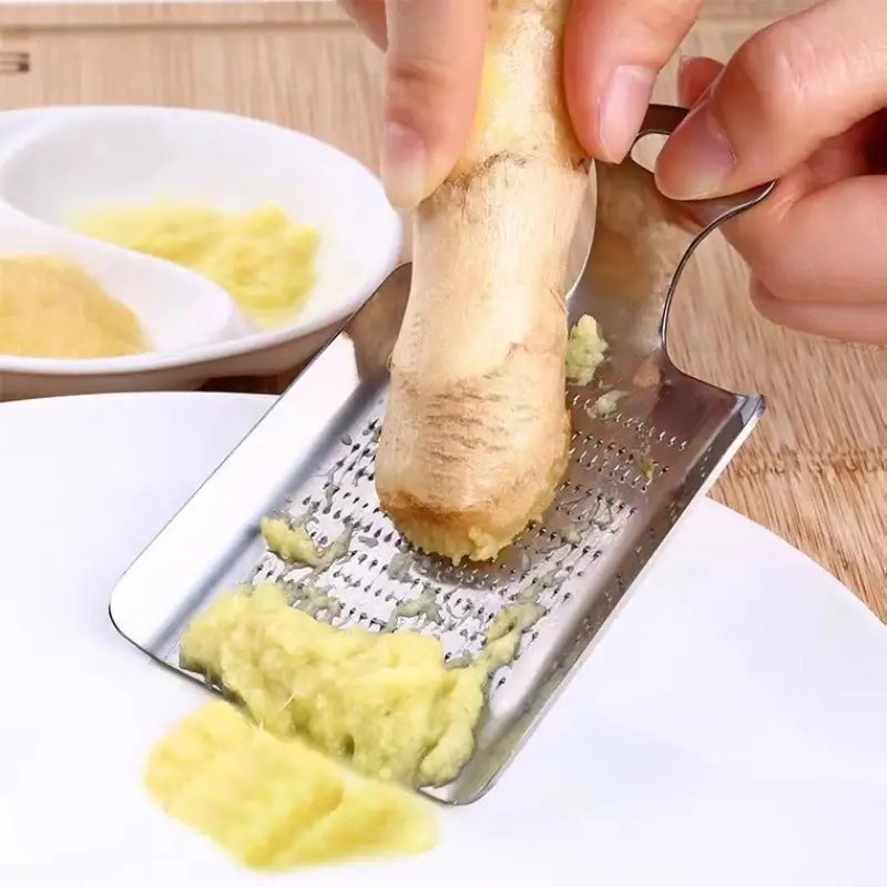 Rallador de acero inoxidable para ajo, jengibre y frutas de cocina
